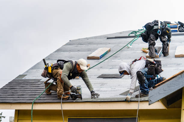 Professional Emergency Roof Repair technician working in Romulus, NY